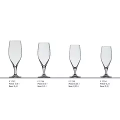 Beer Glasses 300 ml ISERLOHN - Stölzle Lausitz F1736