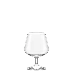 Cognac Professional Glass 425 ml Professional - Stölzle Lausitz 205 00 18
