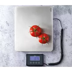 Portable scale with external indicator