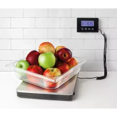 Portable scale with external indicator