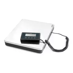 Portable scale with external indicator