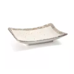 Презентационна Правоъгълна чиния Earth