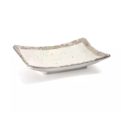 Presentation Rectangular Plate Earth