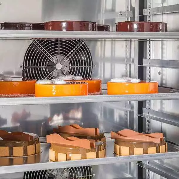 Why you Should use a Blast Chiller?