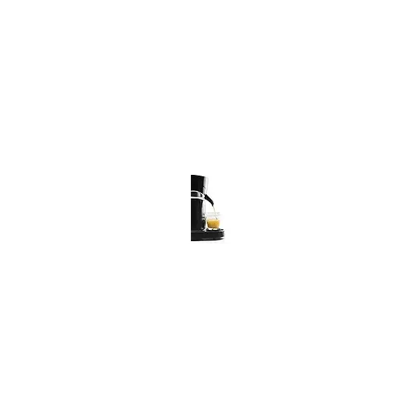 Professional juicer Black 69286