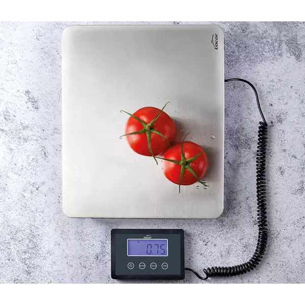 Portable scale with external indicator