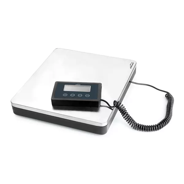 Portable scale with external indicator
