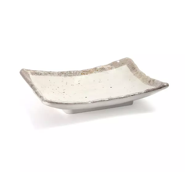 Презентационна Правоъгълна чиния Earth