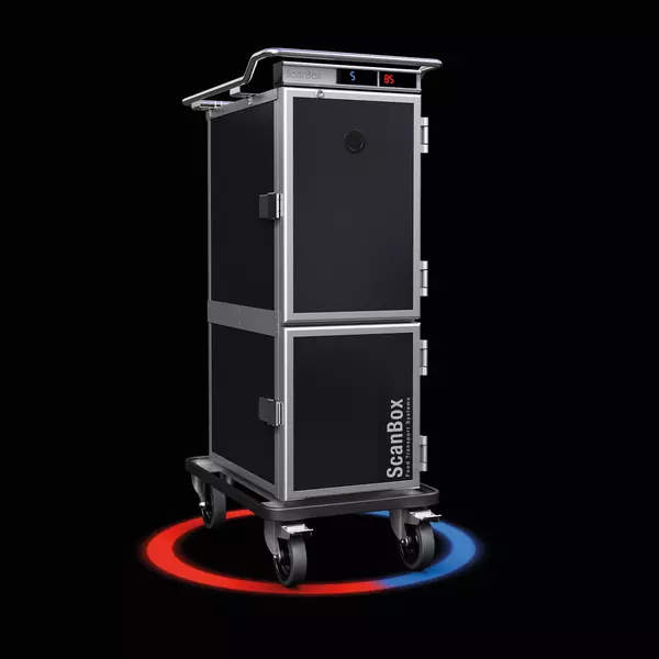Insulated box for holding and distribution of food Combo